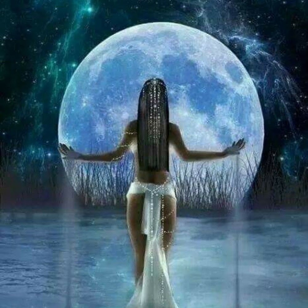 Meet your Posher, Mesha